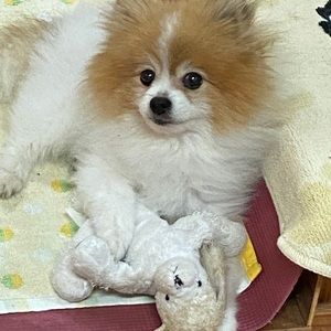 Meet your Posher, Linda